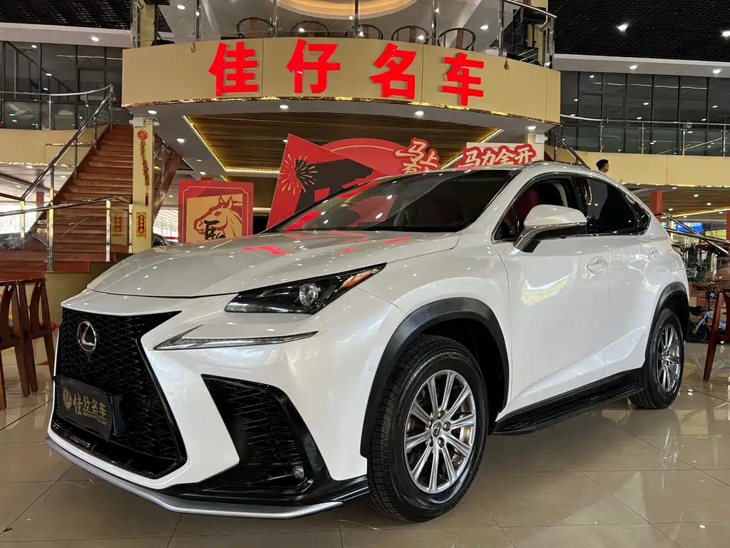 Lexus NX 2019 — фото 1