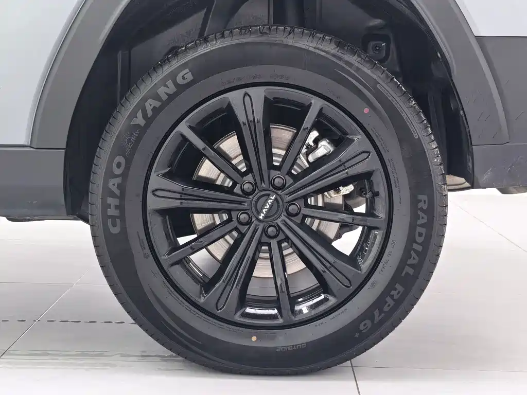 Haval Raptors New Energy 2024 — фото 28