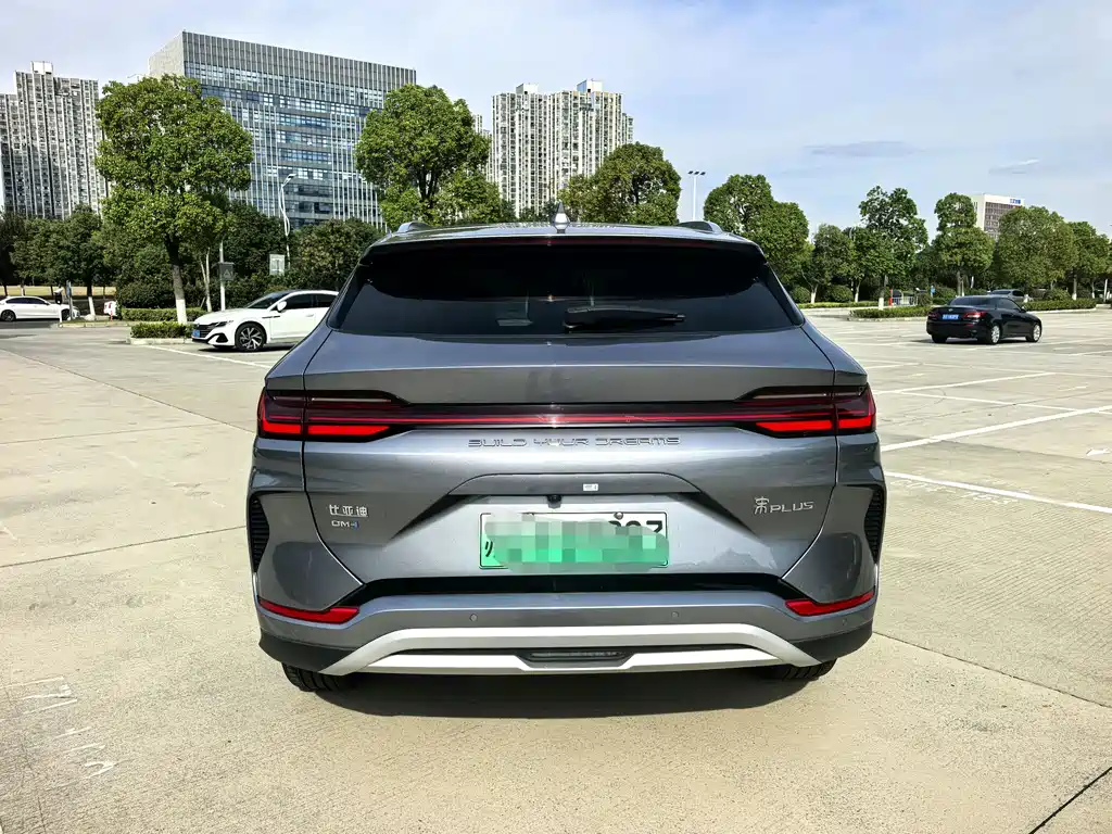BYD PLUS New Energy 2024 — фото 13