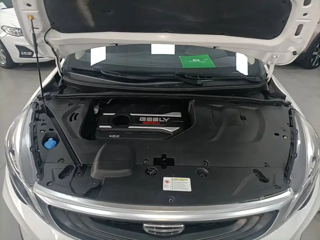 Geely Emgrand GS 2020 — фото 20