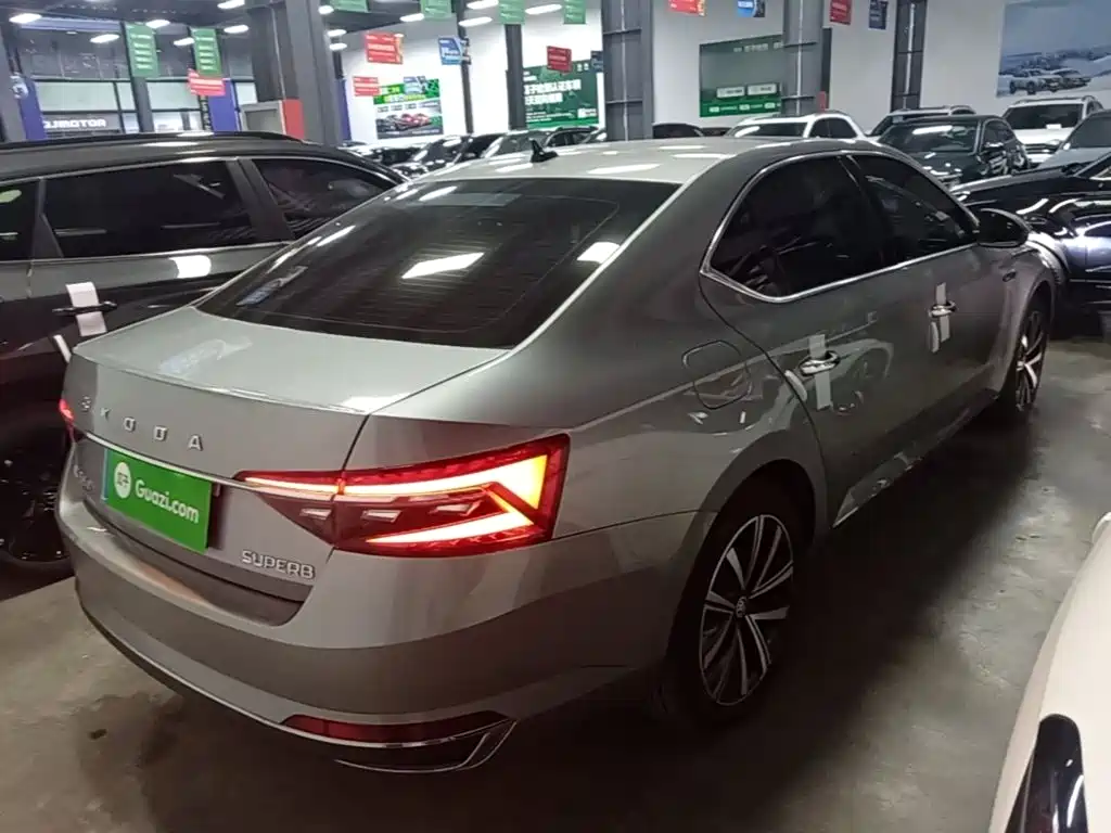 Skoda Speedy 2024