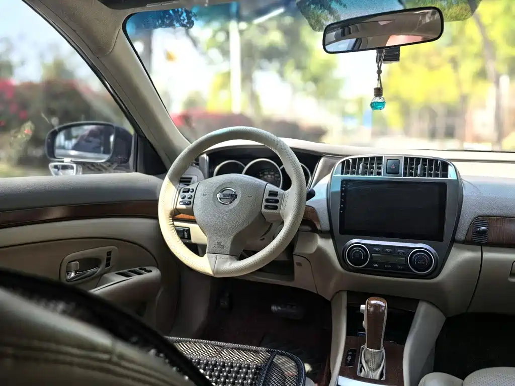 Nissan Sylphy 2010 — фото 19