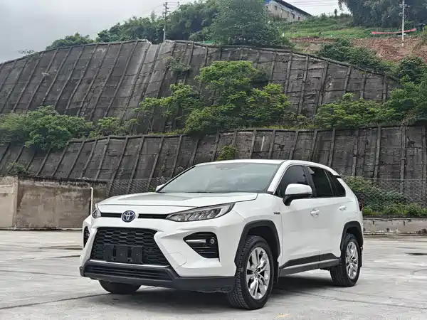 Toyota Wildlander 2020