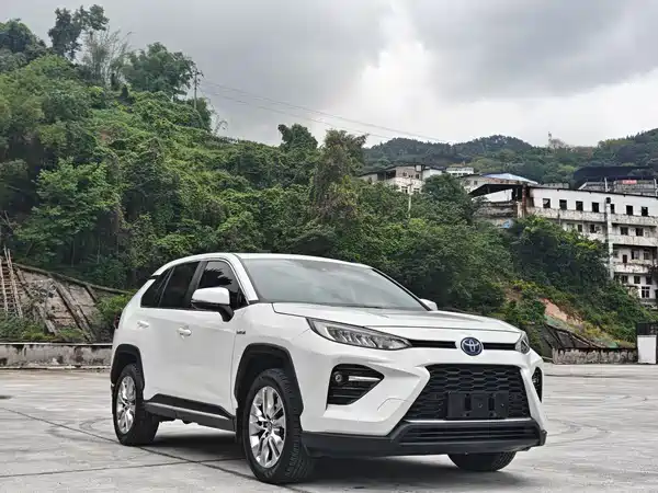 Toyota Wildlander 2020