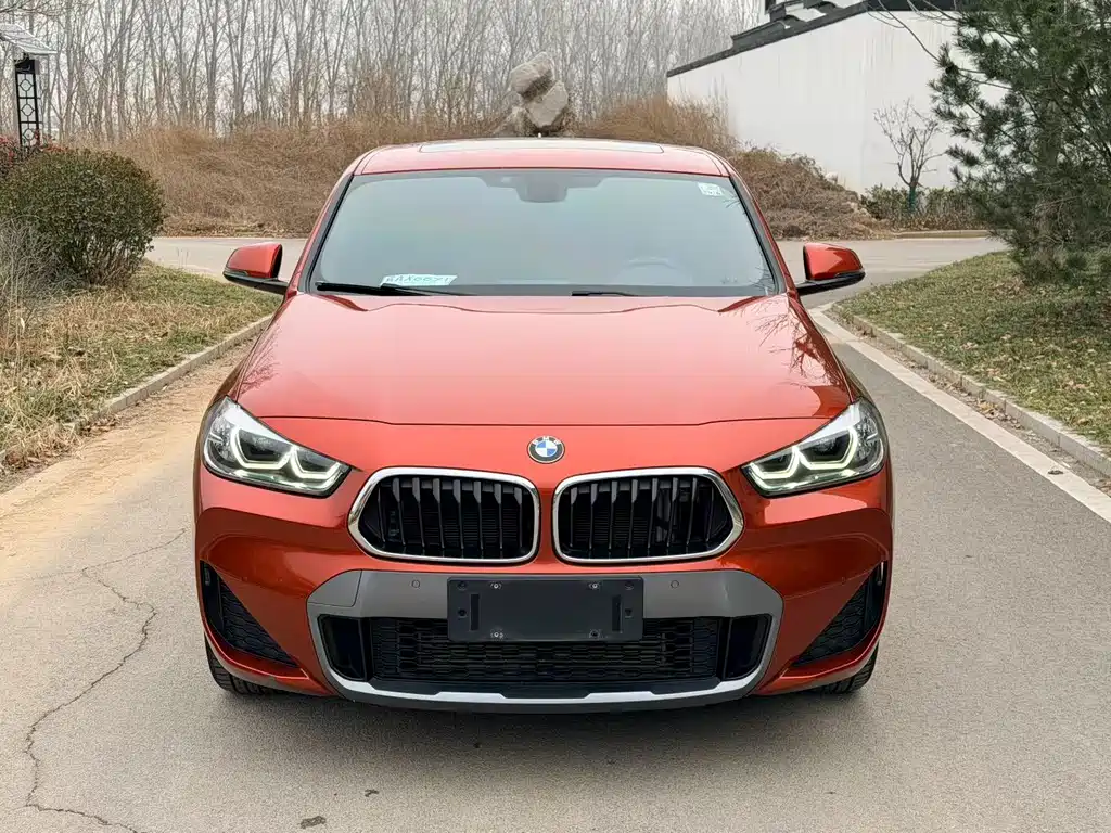 BMW X2 2020 — фото 1