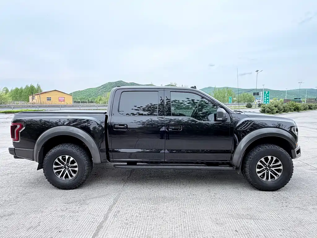 Ford F-150 Raptor 2020 — фото 6