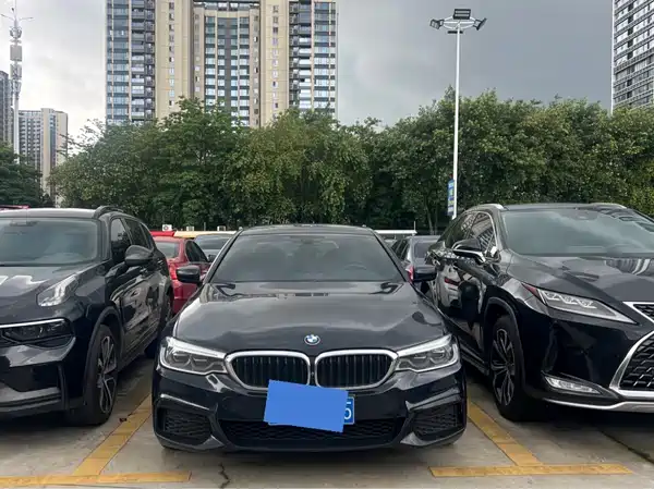 BMW 5 Series 2020