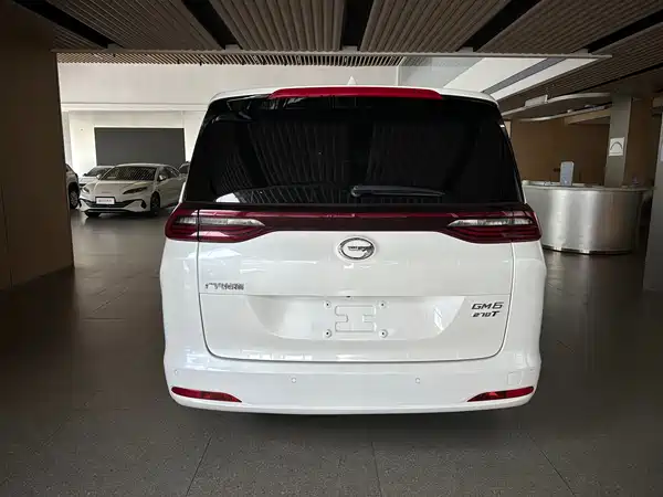 GAC Trumpchi M6 2020