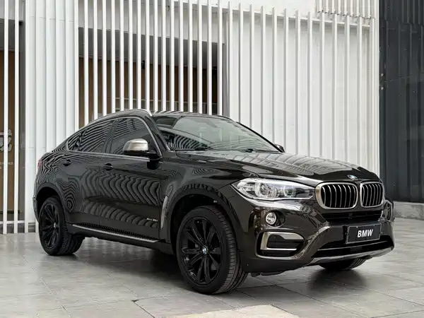 BMW X6 2019