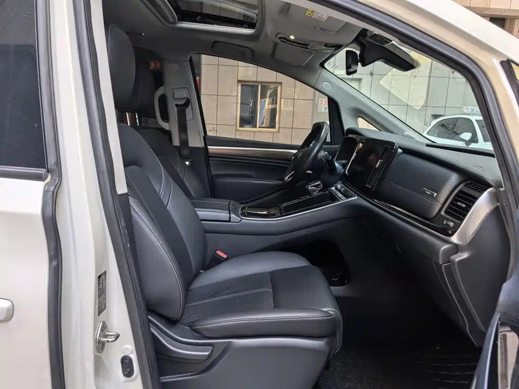 GAC Trumpchi M8 2021 — фото 11