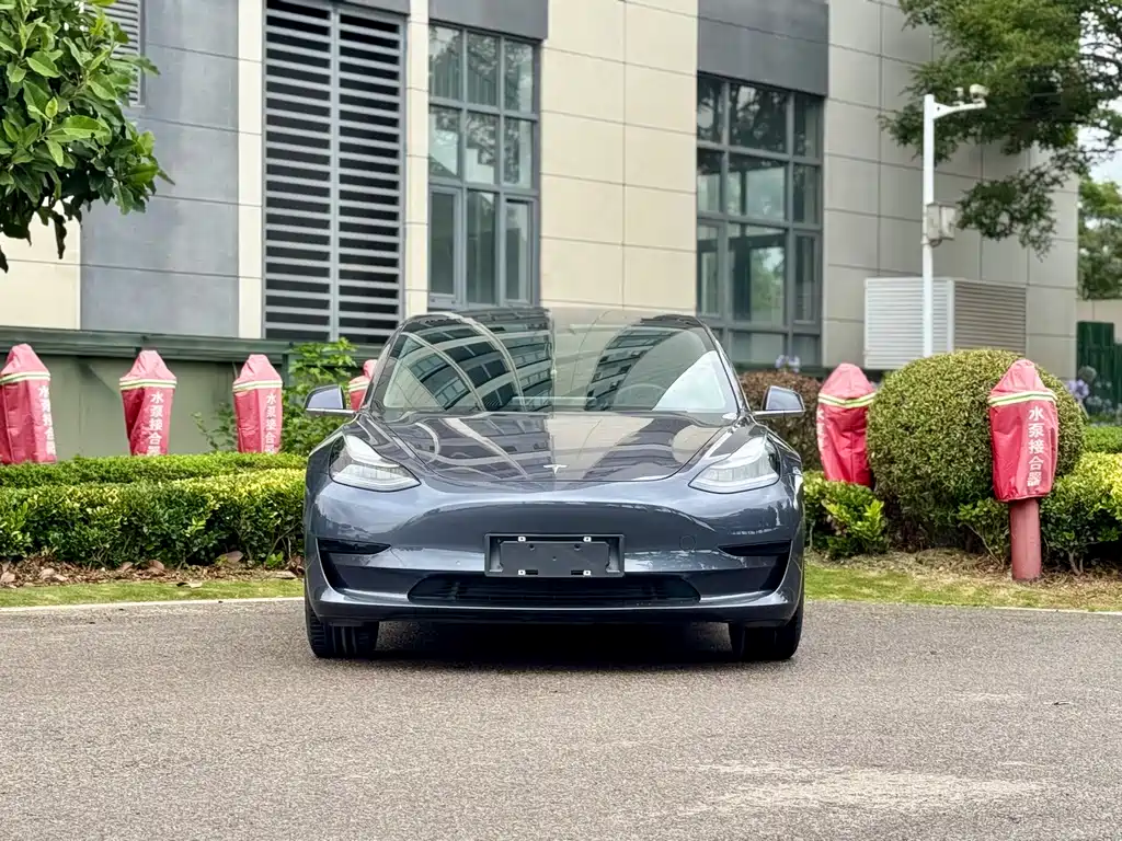 Tesla Model 3 2020 — фото 2