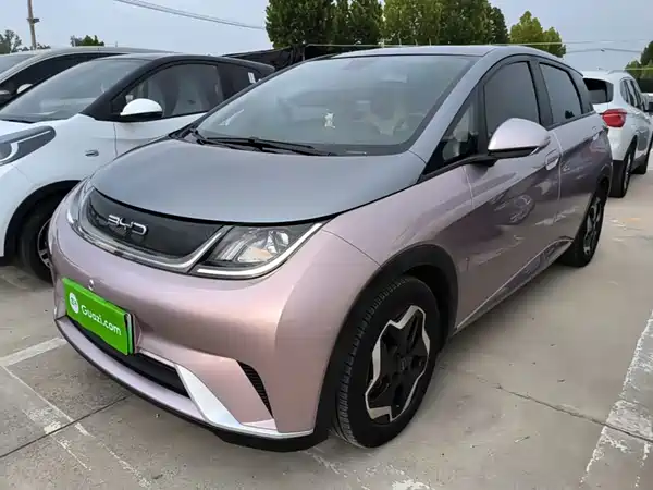 BYD Dolphin 2022