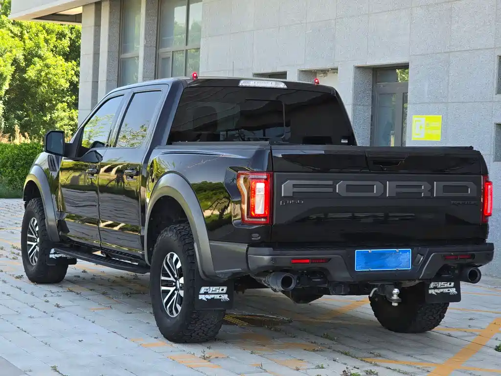Ford F-150 Raptor 2019 — фото 4