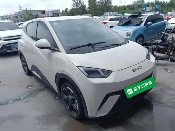 BYD Seagull 2024