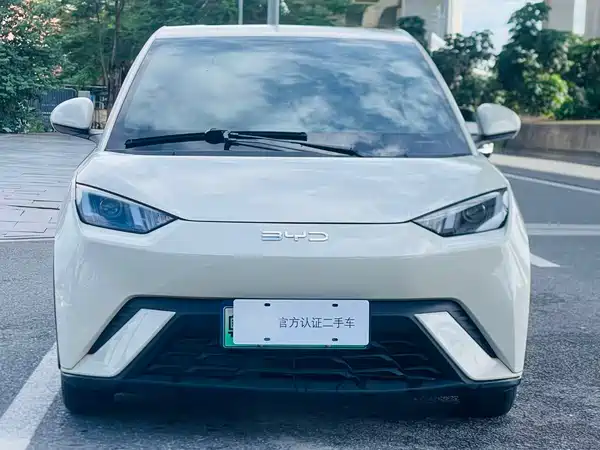 BYD Seagull 2024