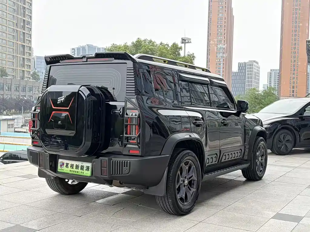 Shanhai Traveller C-DM 2024 — фото 5