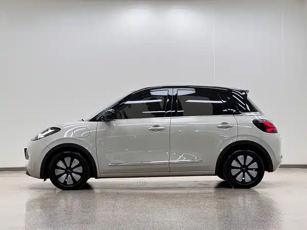 Wuling Bingo 2024