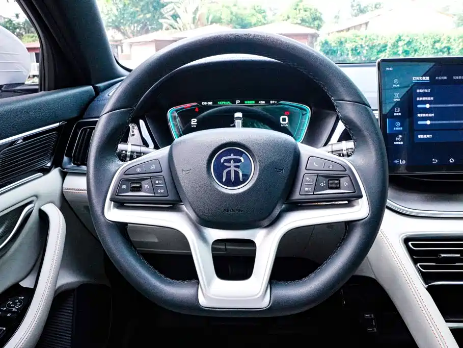 BYD Song PLUS New Energy 2023 — фото 10