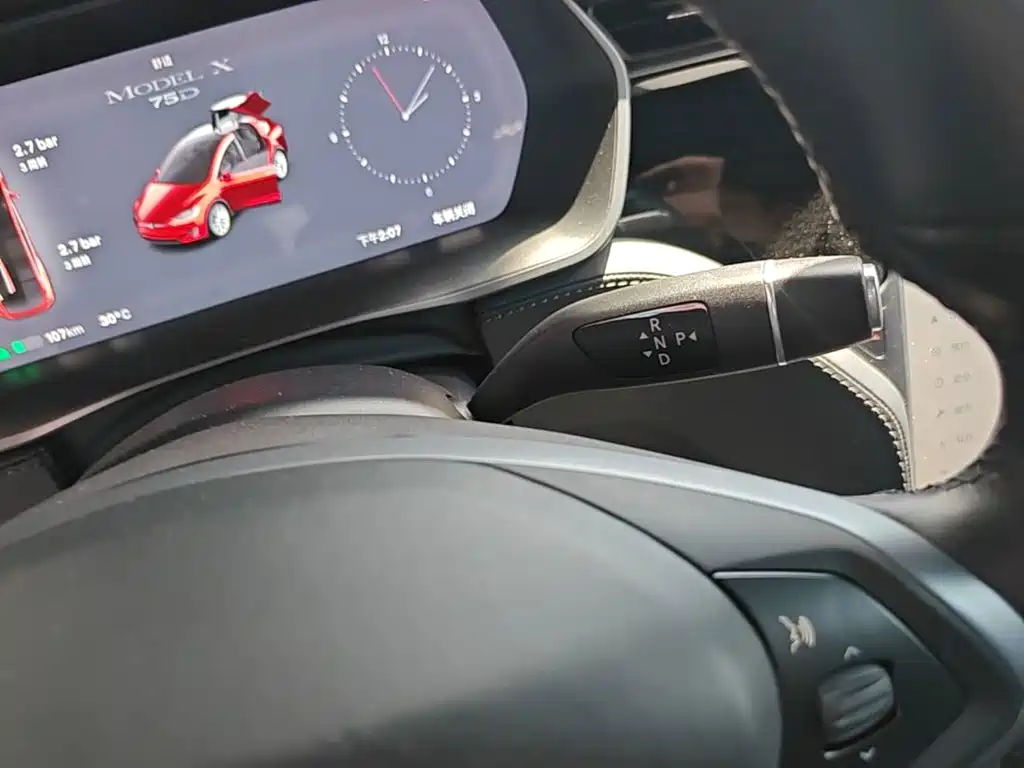Tesla Model X 2019 — фото 14