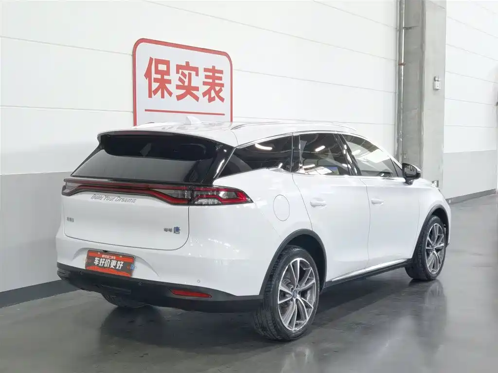 BYD Tang New Energy 2020