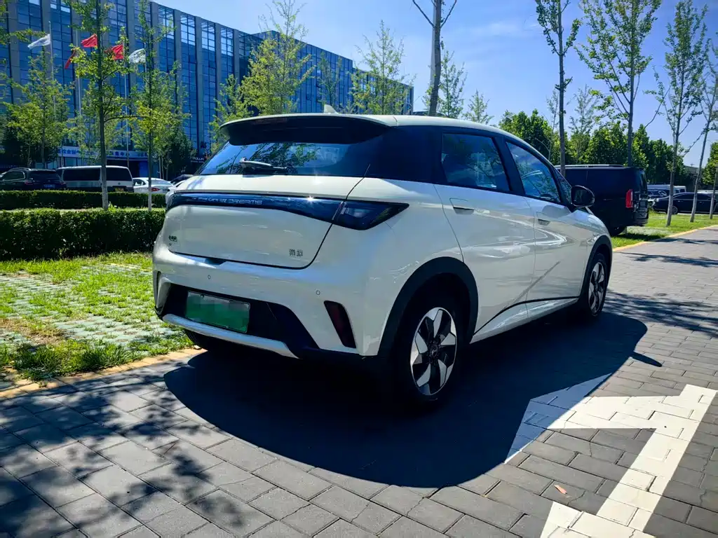 BYD Dolphin 2026