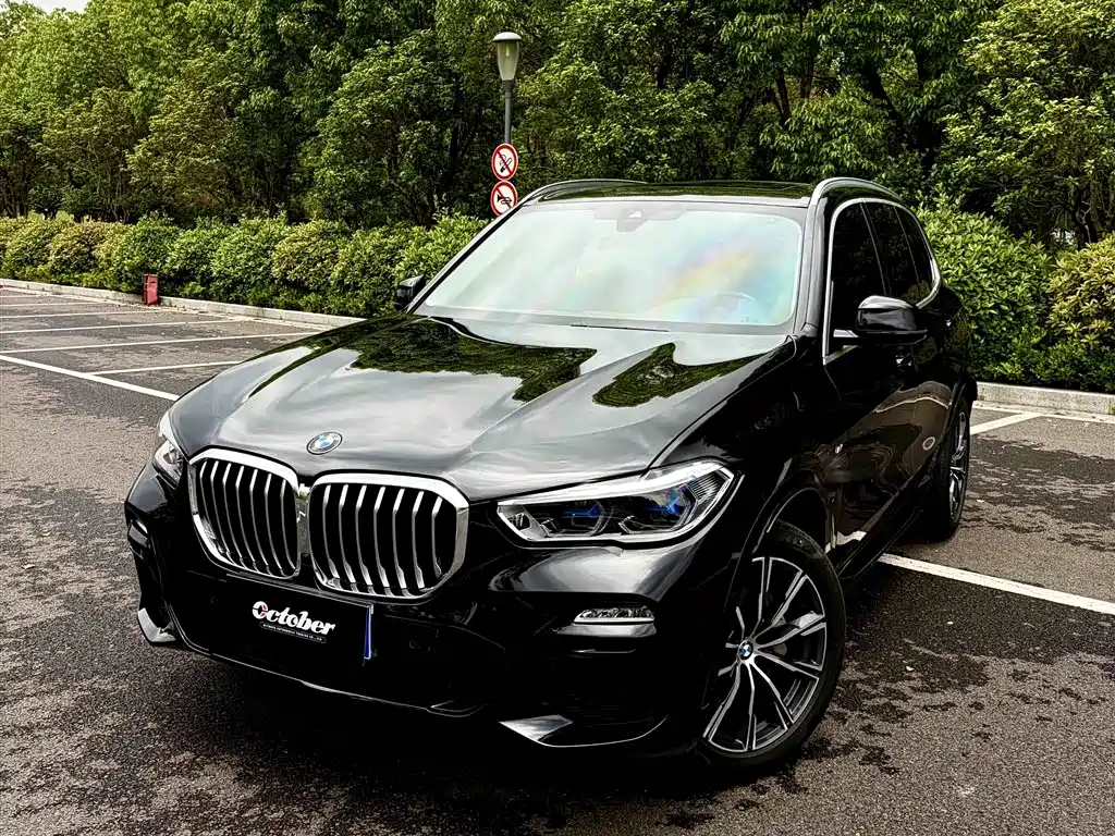 BMW X5 2019 — фото 2