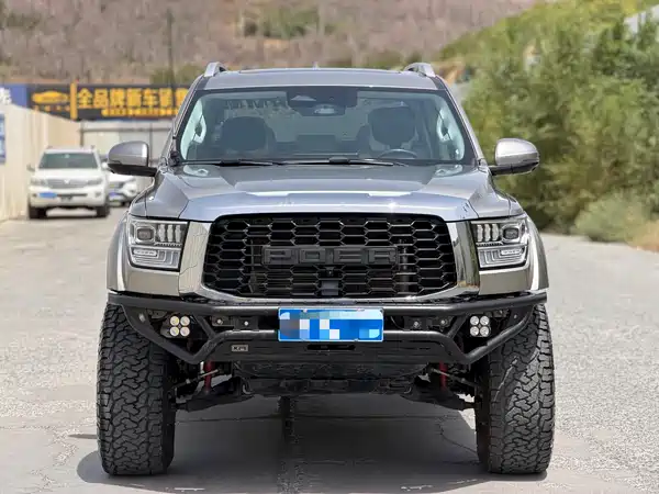 Great Wall Shanhaicannon 2023