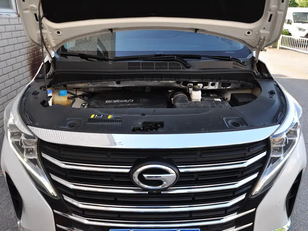 GAC Motor Trumpchi M8 2022 — фото 13