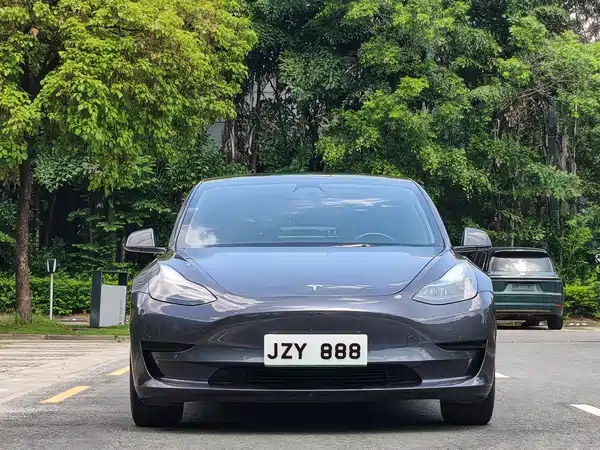 Tesla Model 3 2021