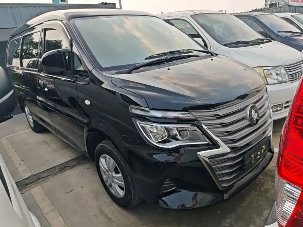 Dongfeng Lingzhi 2024