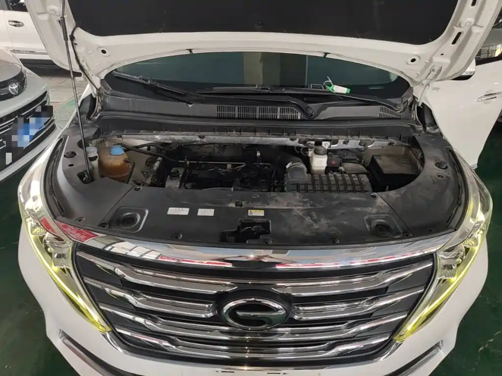 GAC Motor Trumpchi M8 2019 — фото 20
