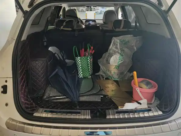 Baojun 310W 2018