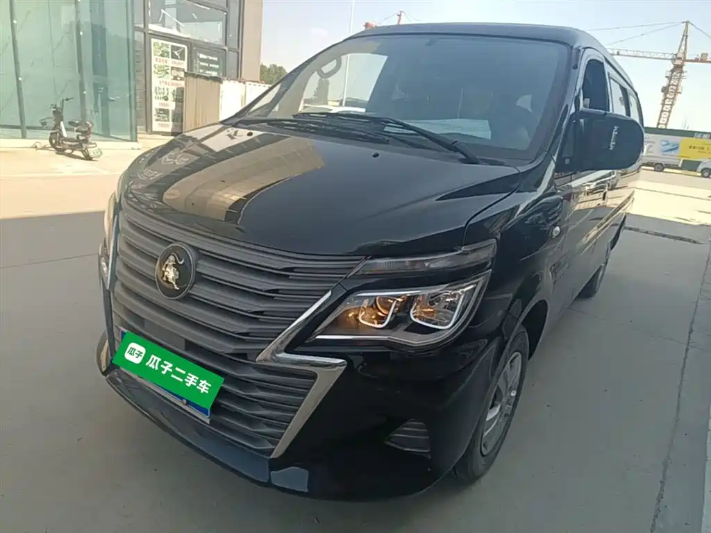 Fengxing Lingzhi 2024