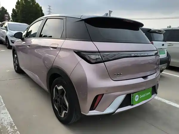 BYD Dolphin 2022