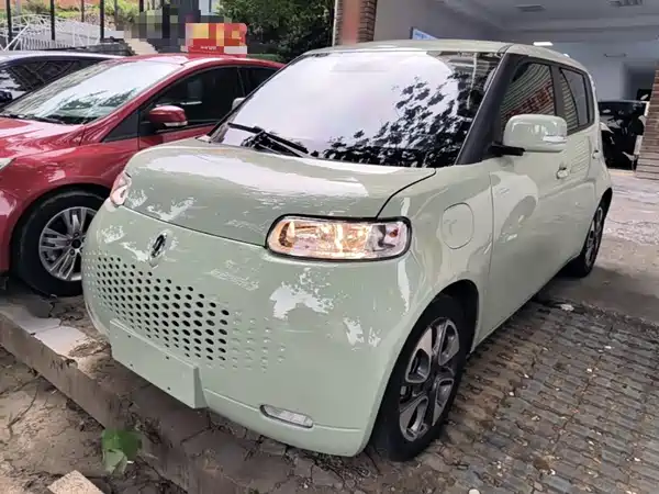 Ora White Cat 2021