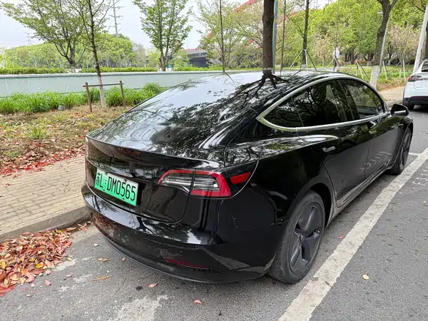 Tesla Model 3 2019