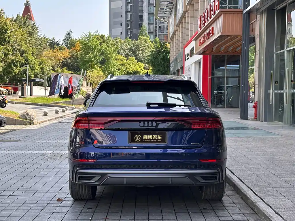 Audi Q8 2019 — фото 6