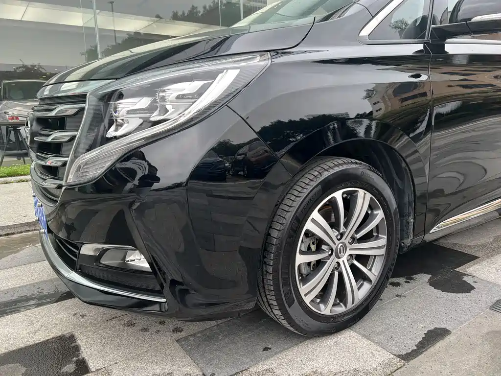 GAC Motor Trumpchi M8 2018 — фото 22