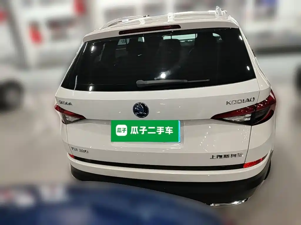 Skoda Kodiaq 2018 — фото 10