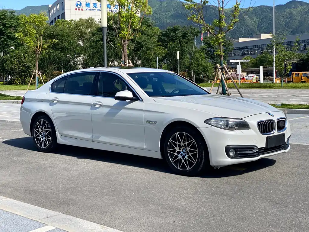 BMW 5 Series 2015 — фото 5