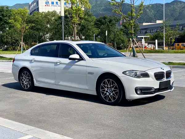 BMW 5 Series 2014