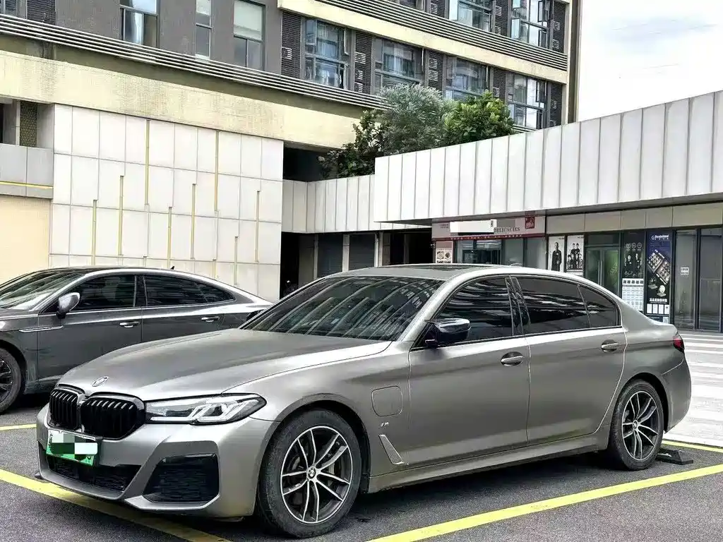 BMW 5 Series New Energy 2020
