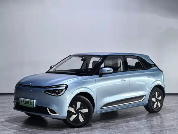 Dongfeng Nano 01 2024
