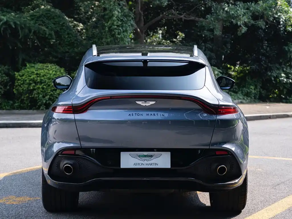 Aston Martin DBX 2022 — фото 6