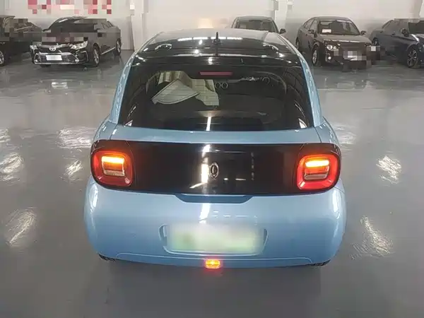 Ora Black Cat 2021