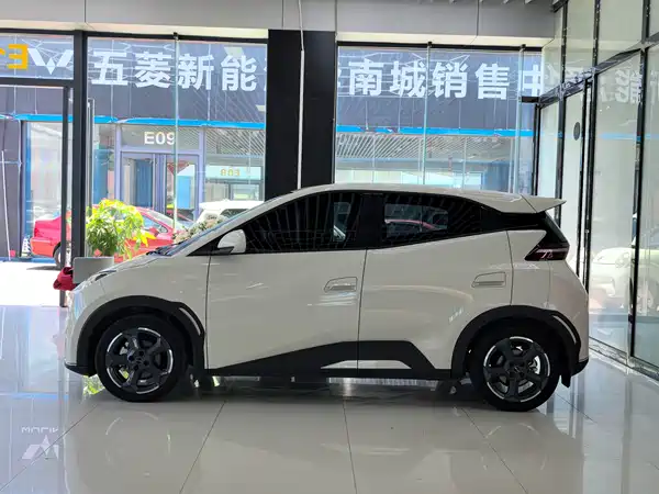 BYD Seagull 2024