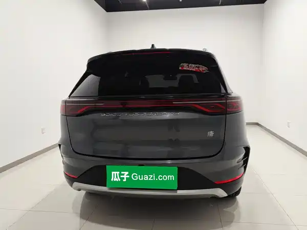 BYD Tang New Energy 2024
