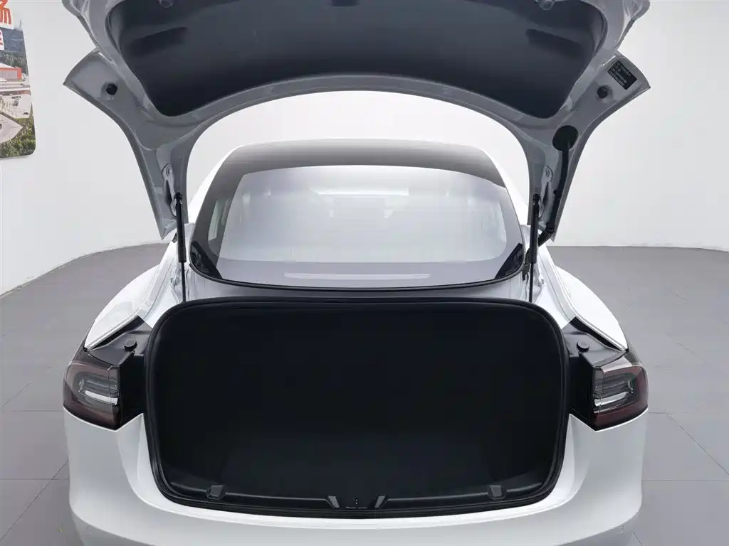 Tesla Model 3 2020 — фото 16