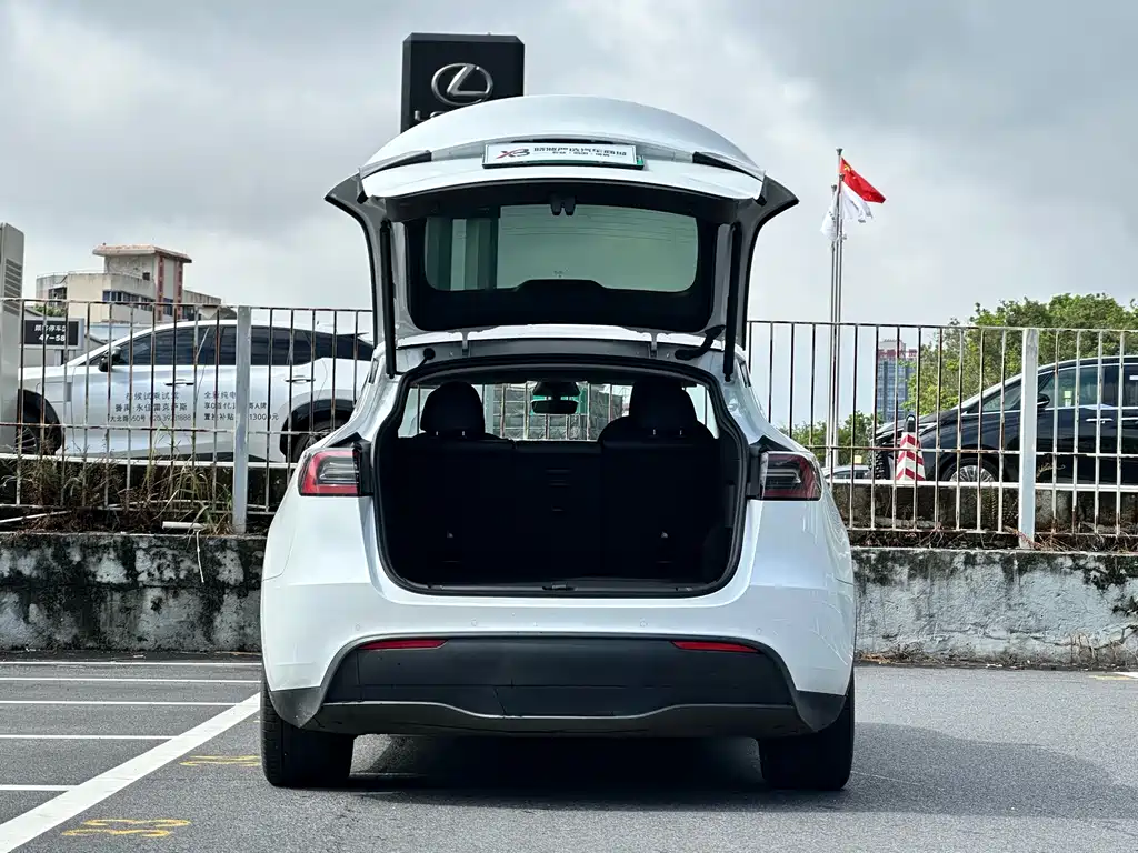 Tesla Model Y 2023 — фото 6