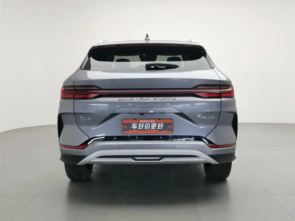BYD PLUS New Energy 2024 — фото 4